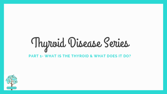 Thyroid Disease Series Part 1- What is the thyroid and what does it do?